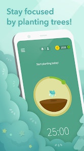 Forest gallery image