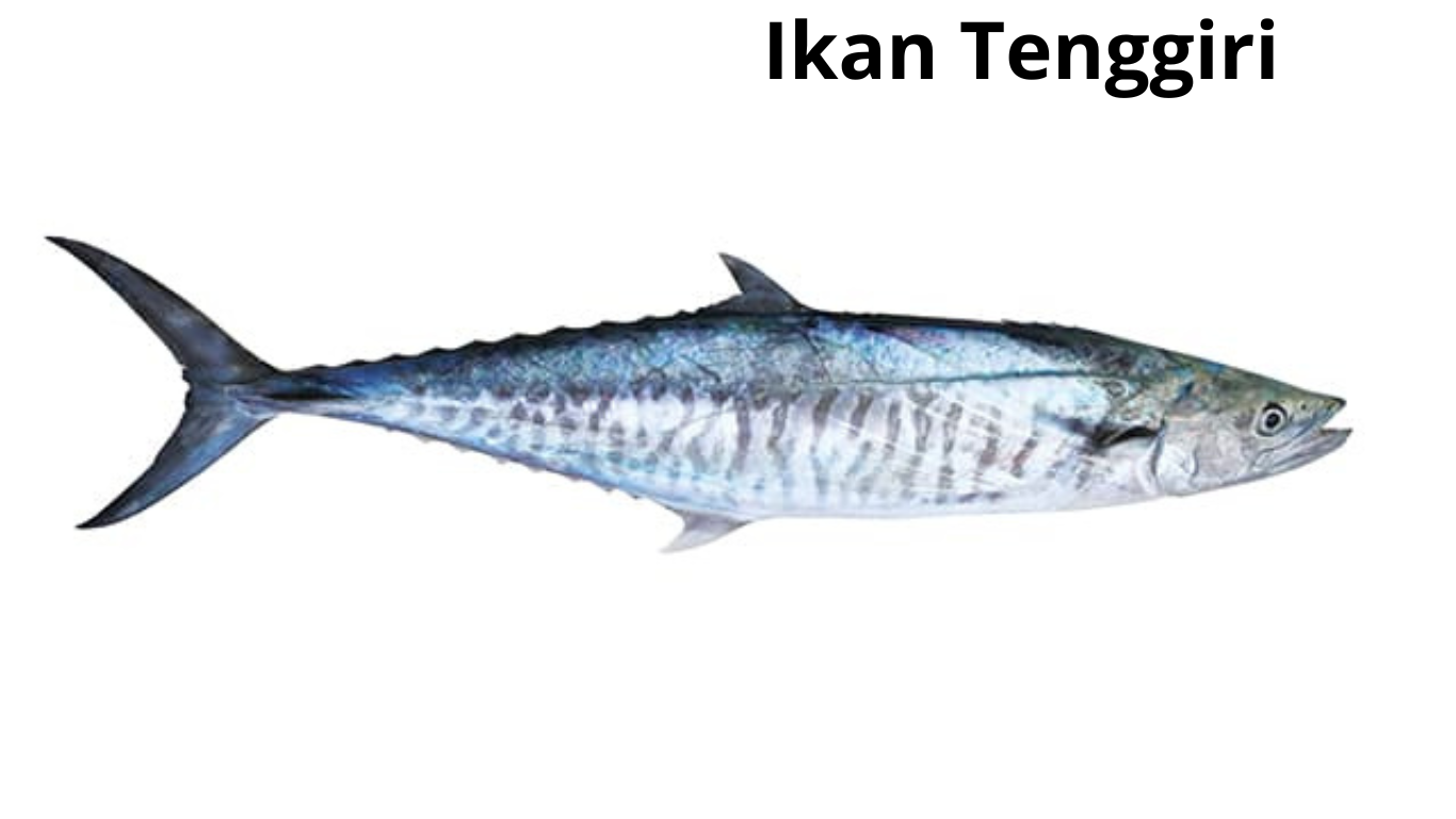 Resep Bakso ikan