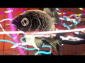 Paint-AR gallery image