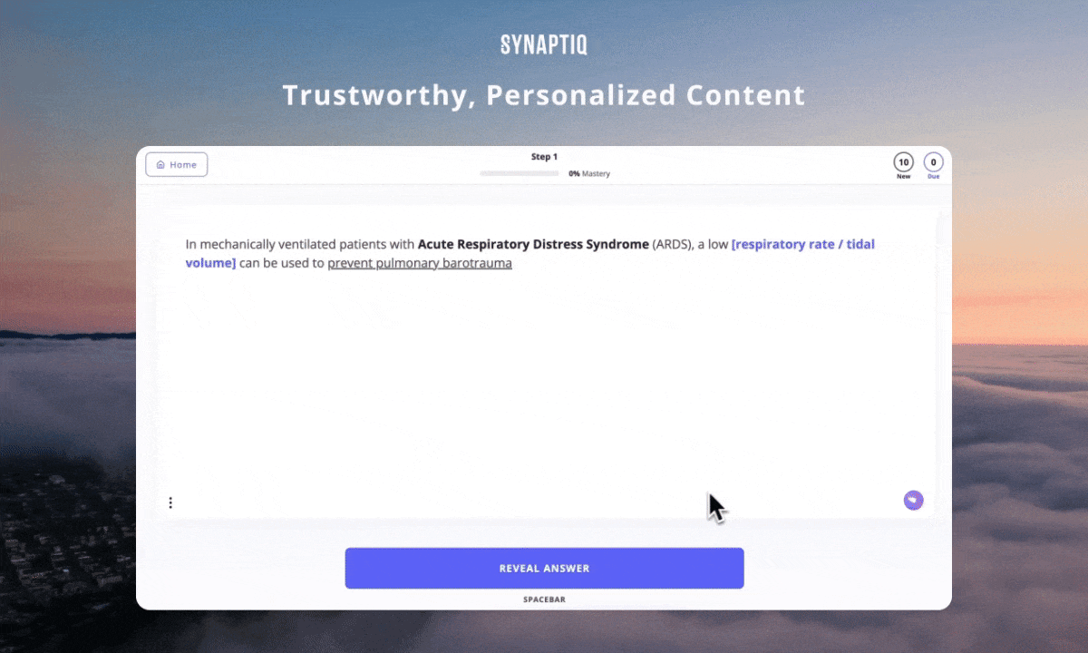Synaptiq media 2