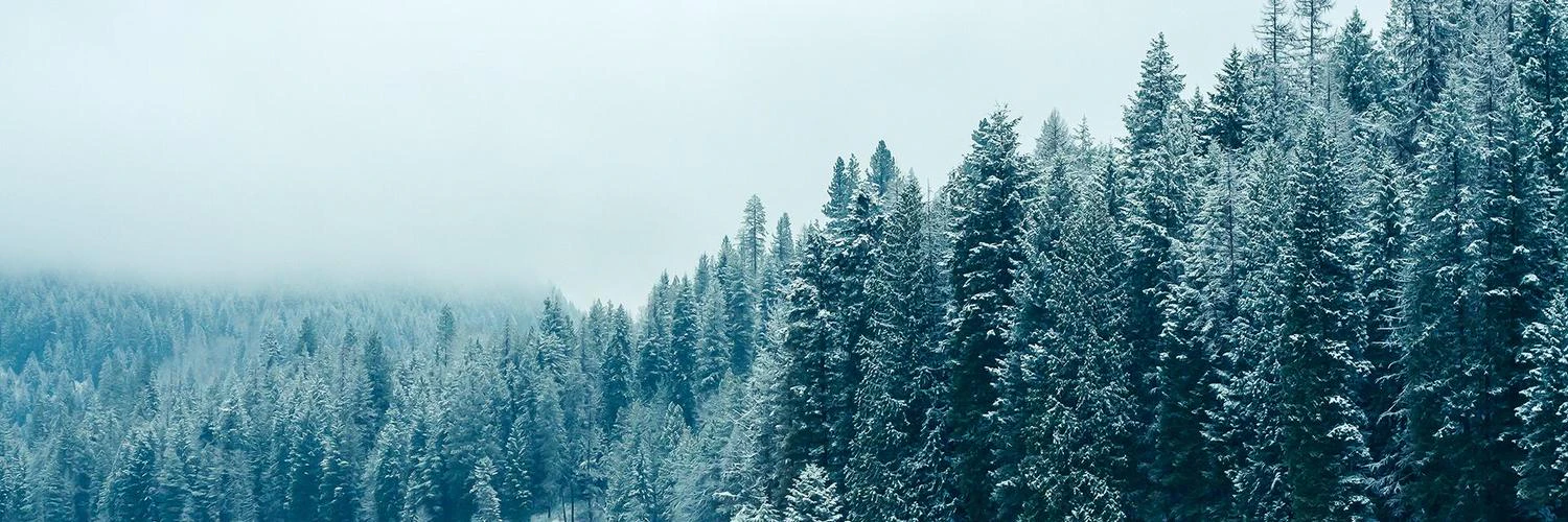 Mağruf Çolakoğlu cover