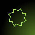 Designfly