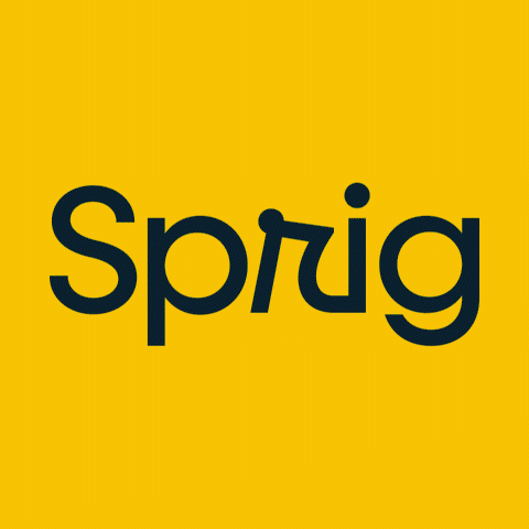 Sprig Concept & Usability Testing