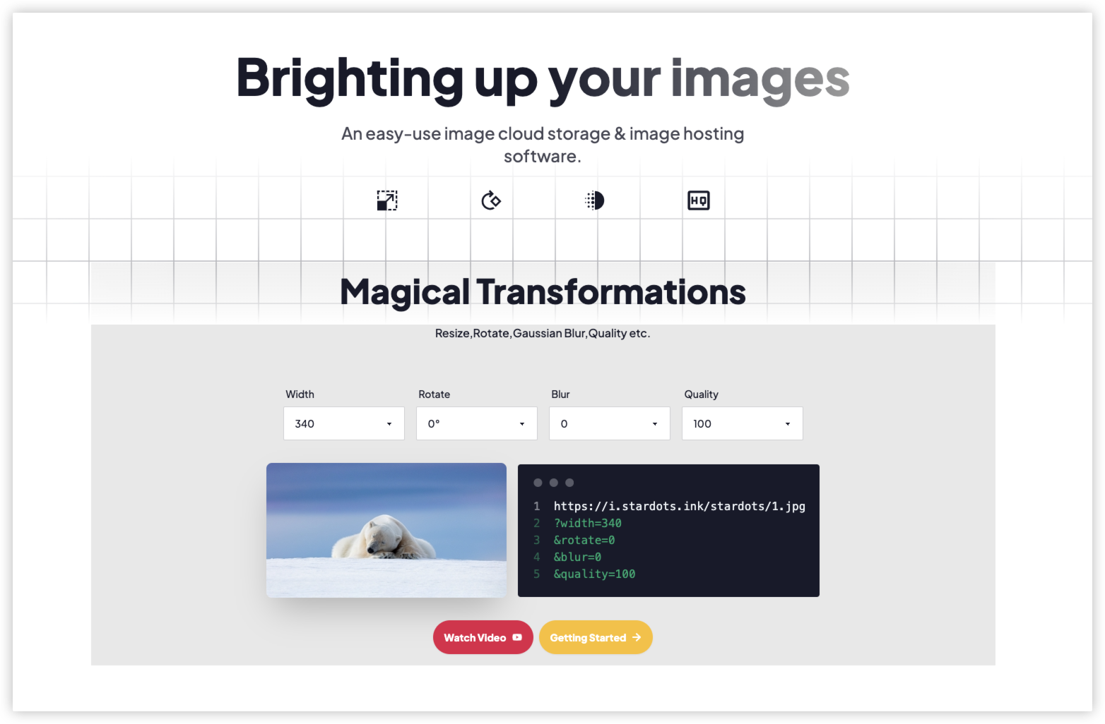 StarDots media 2