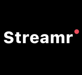 Streamr AI 截图 1