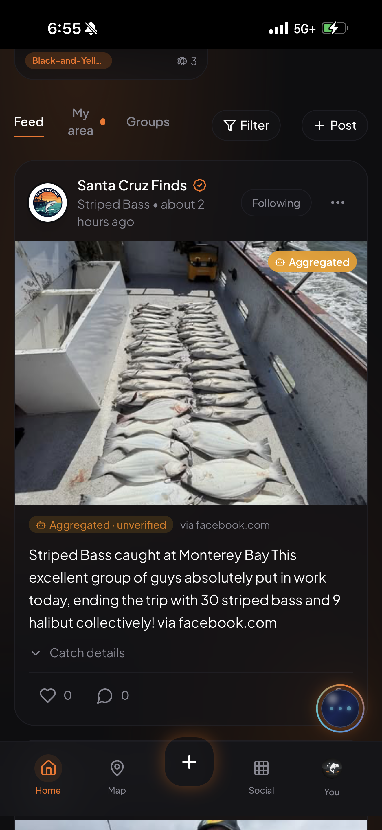 Fish Scout gallery image