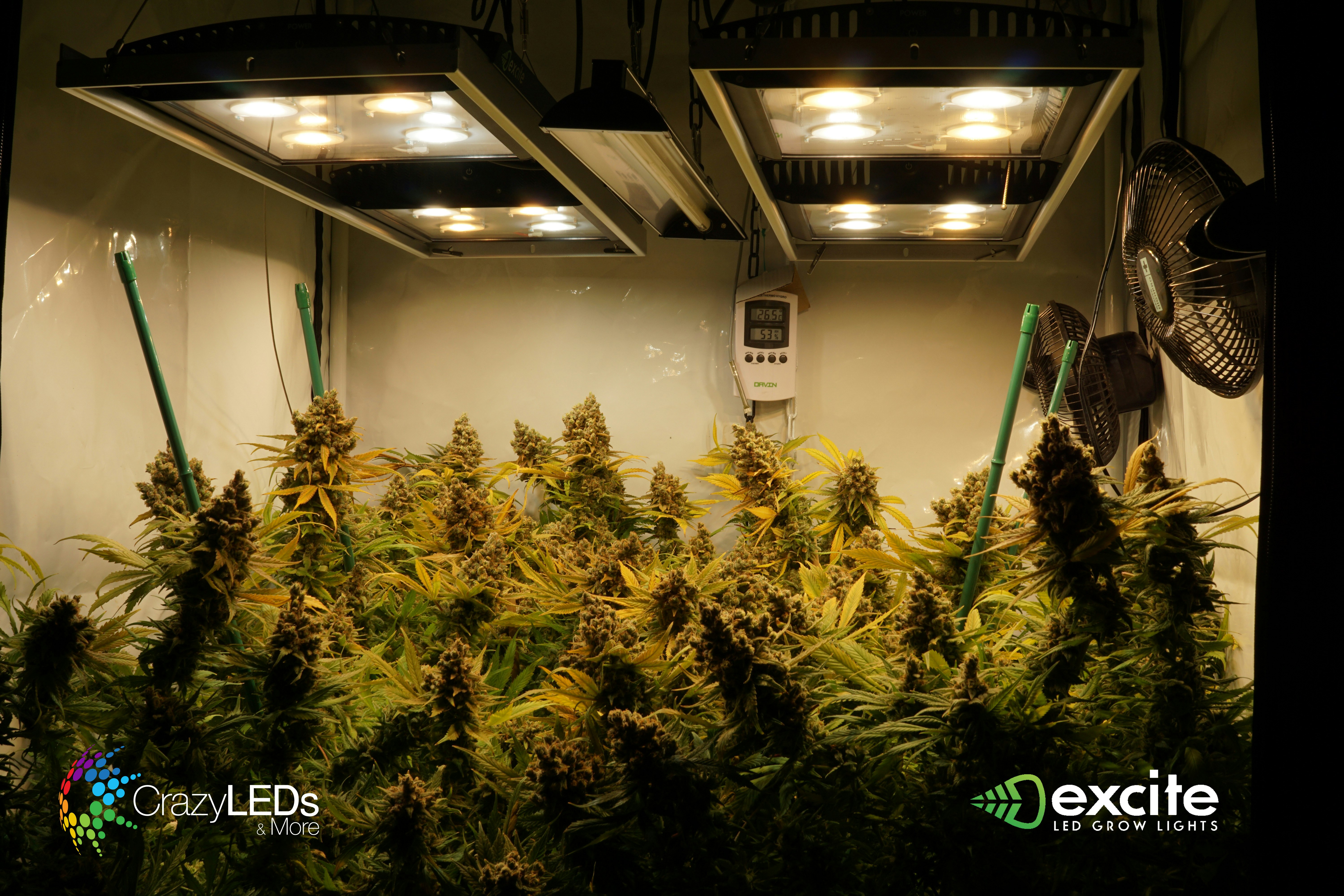 excite LED gallery image