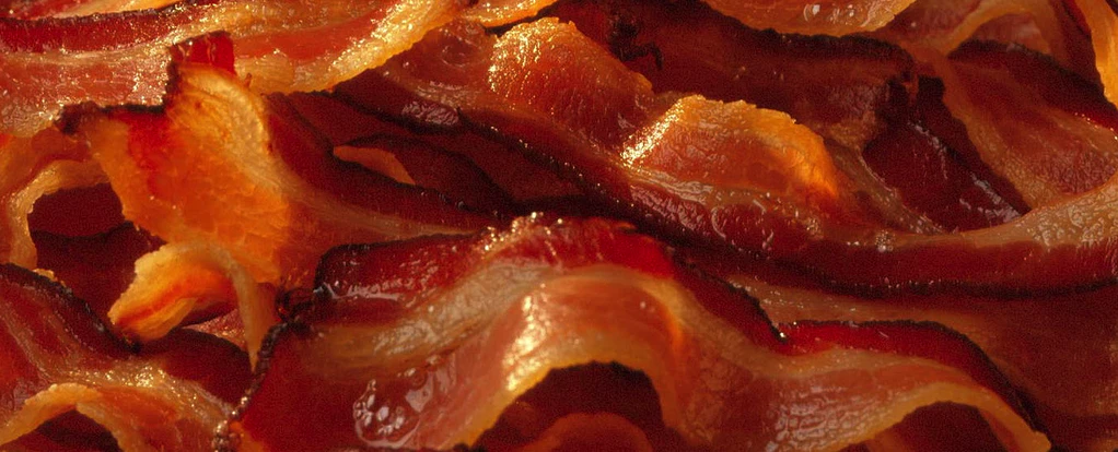 Bacon Makes Everything Better