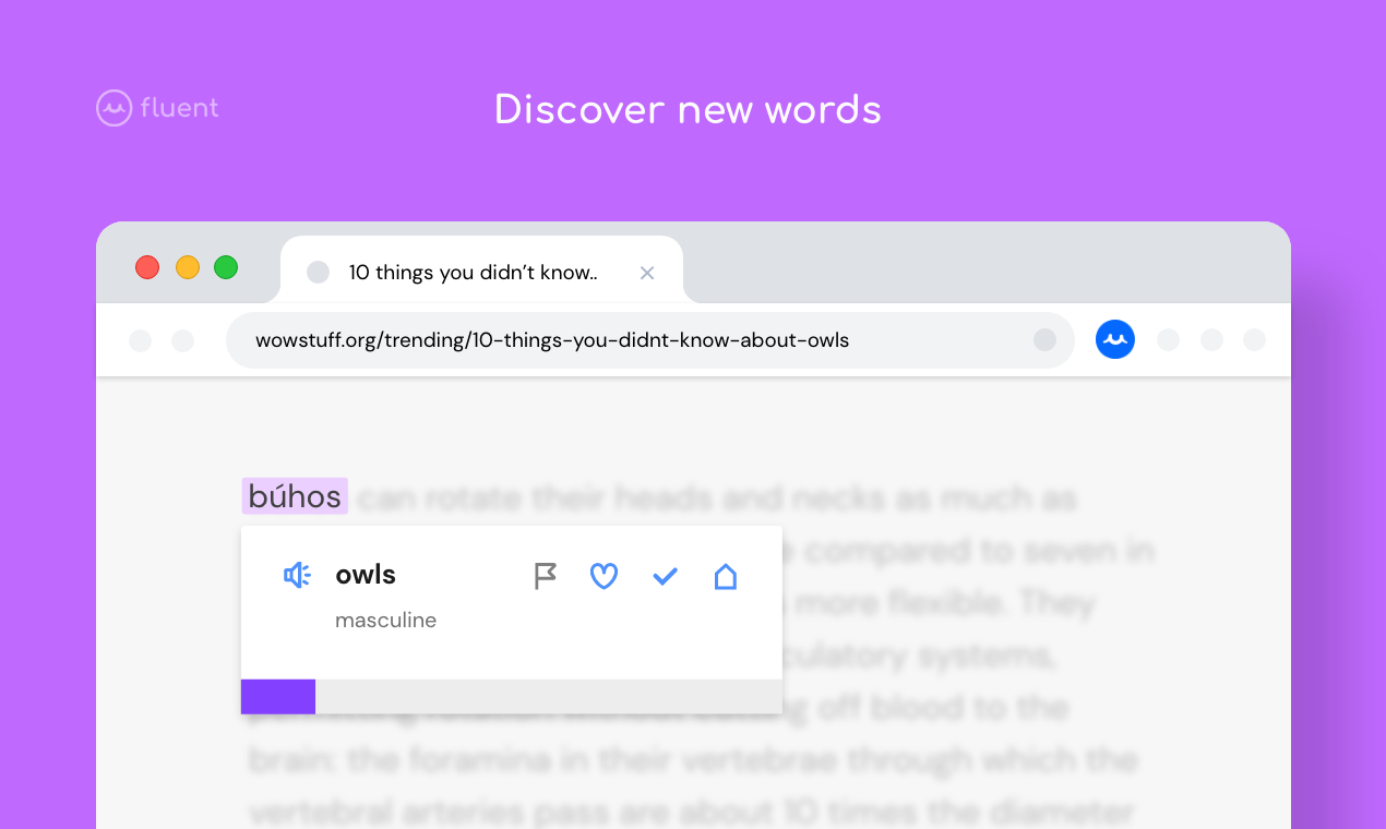 Fluent 1.0 Gallery Image 1