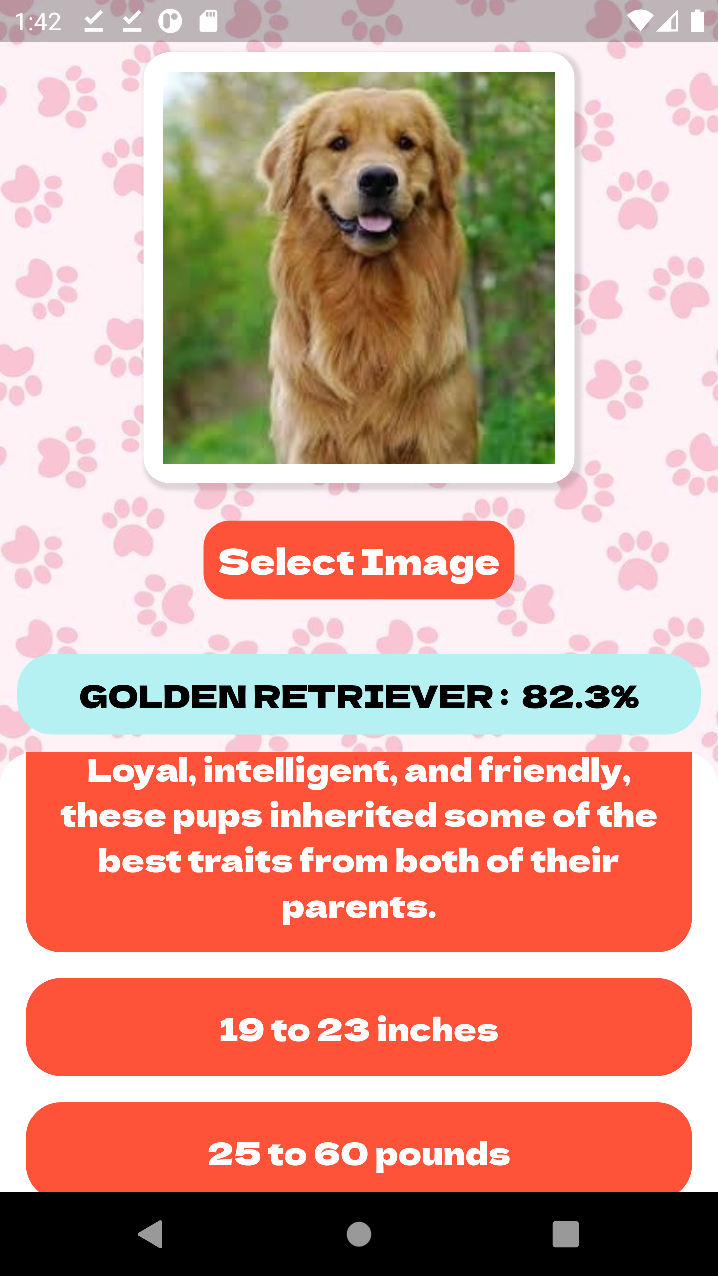 Dogedex gallery image