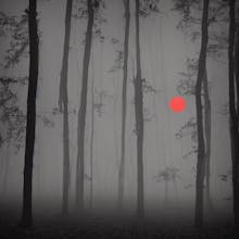 Beautiful 100+ AI generated Images gallery image