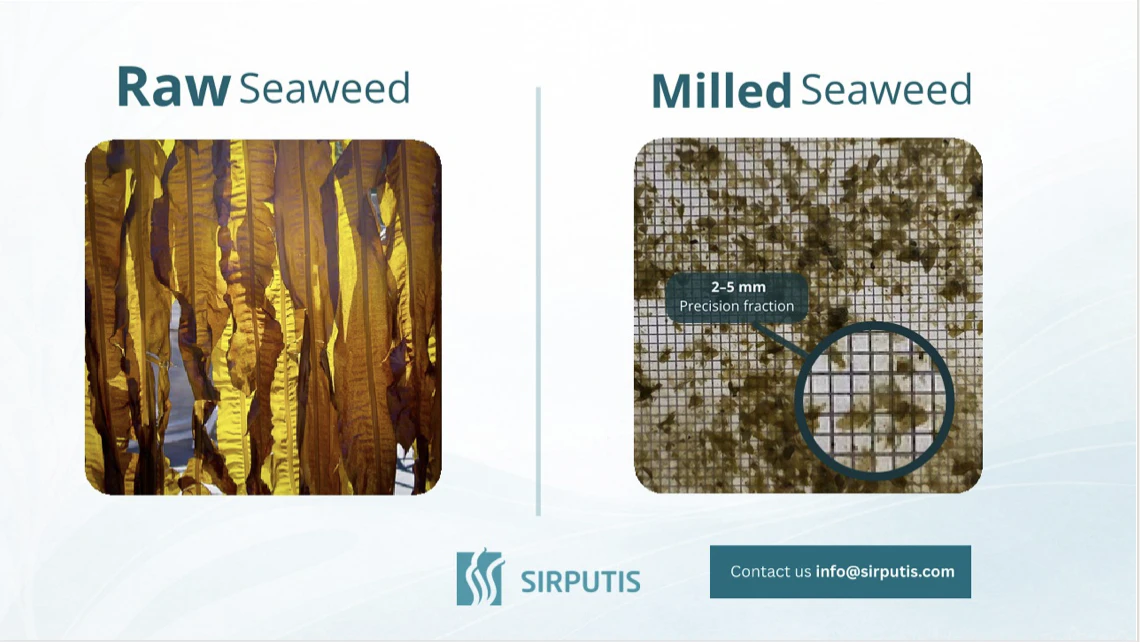 Sirputis screenshot 2