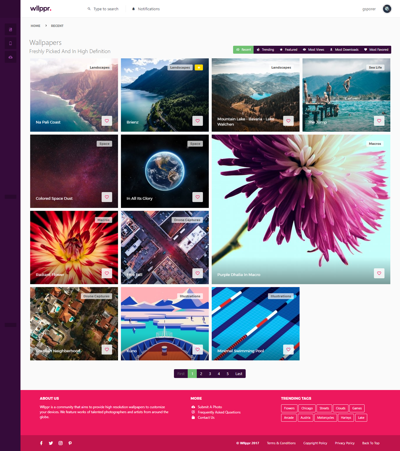 Wllppr gallery image