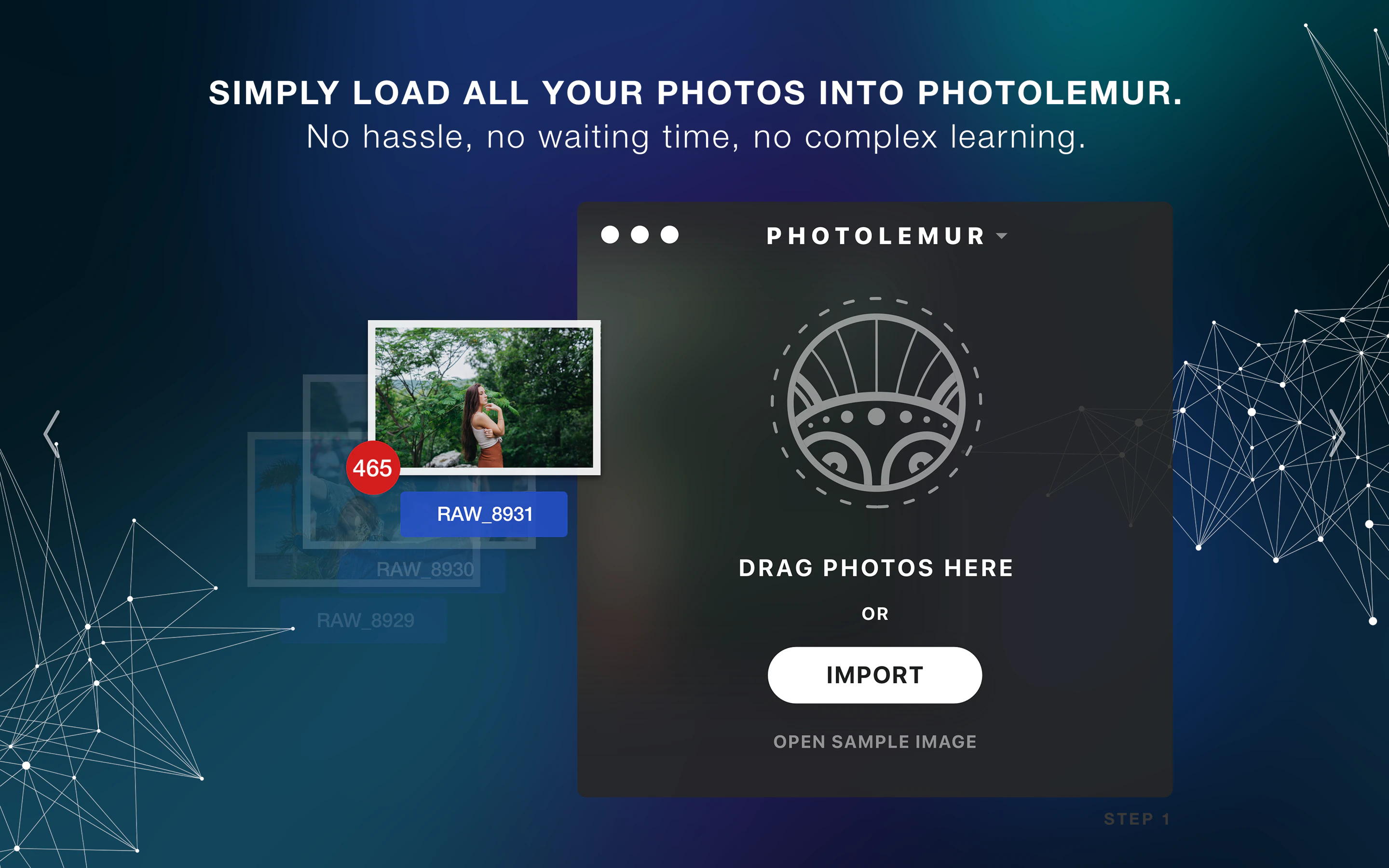 Photolemur Image