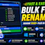 Bulk File Renamer