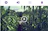 Adobe Premiere Clip