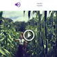 Adobe Premiere Clip