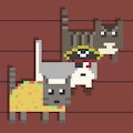 Infinite Meow