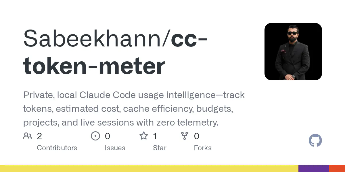 CC Token Meter 截图