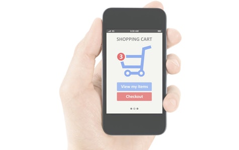 Pesaply Beta gallery image