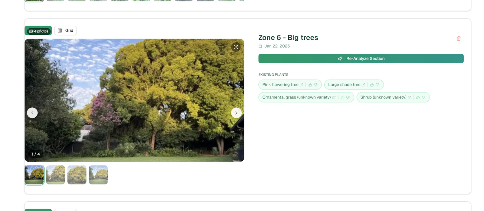 Fernly screenshot 8