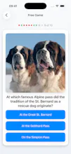 Swiss Quiz 2 gallery image