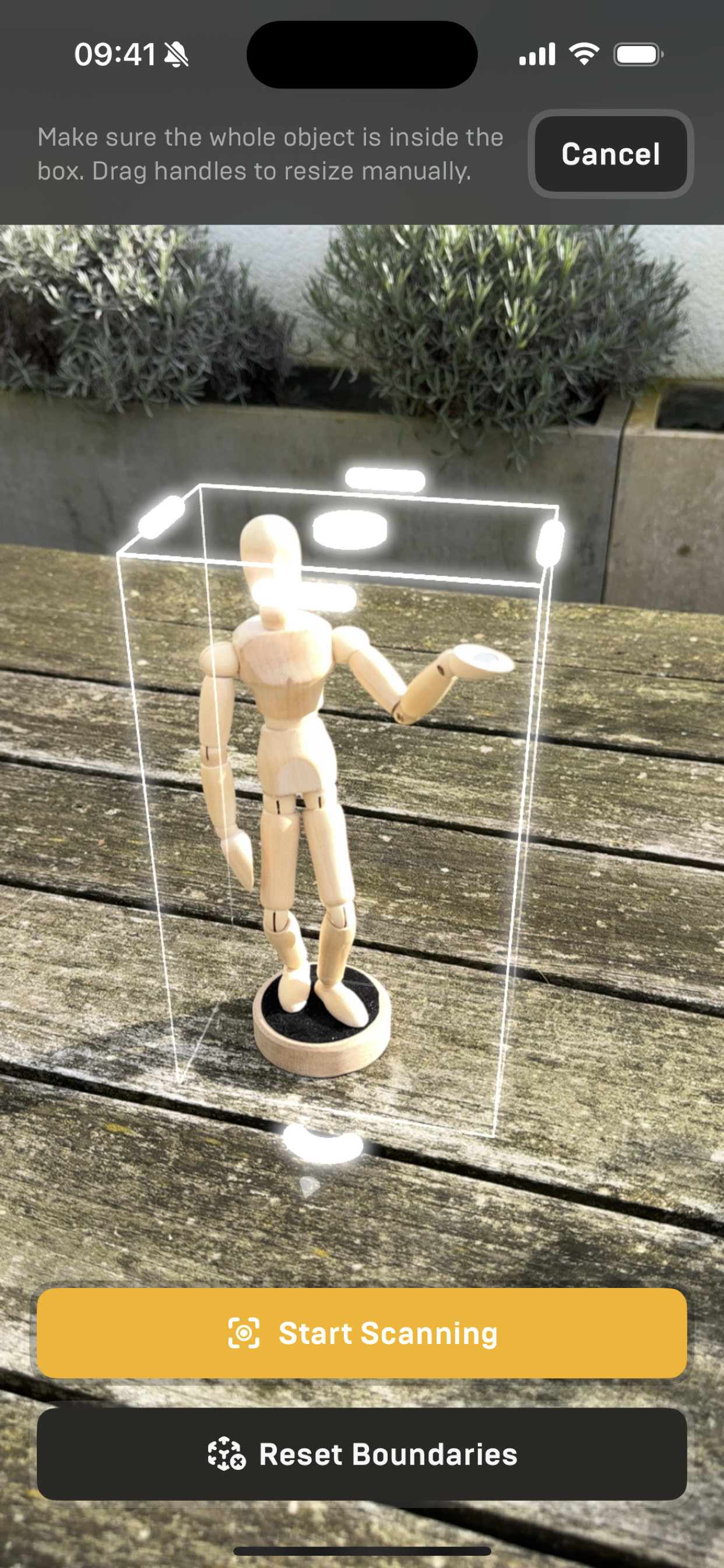 Mídia 7 de 3D Scan Pro - Varredura 3D no nível pró-leão.Acessível a você.