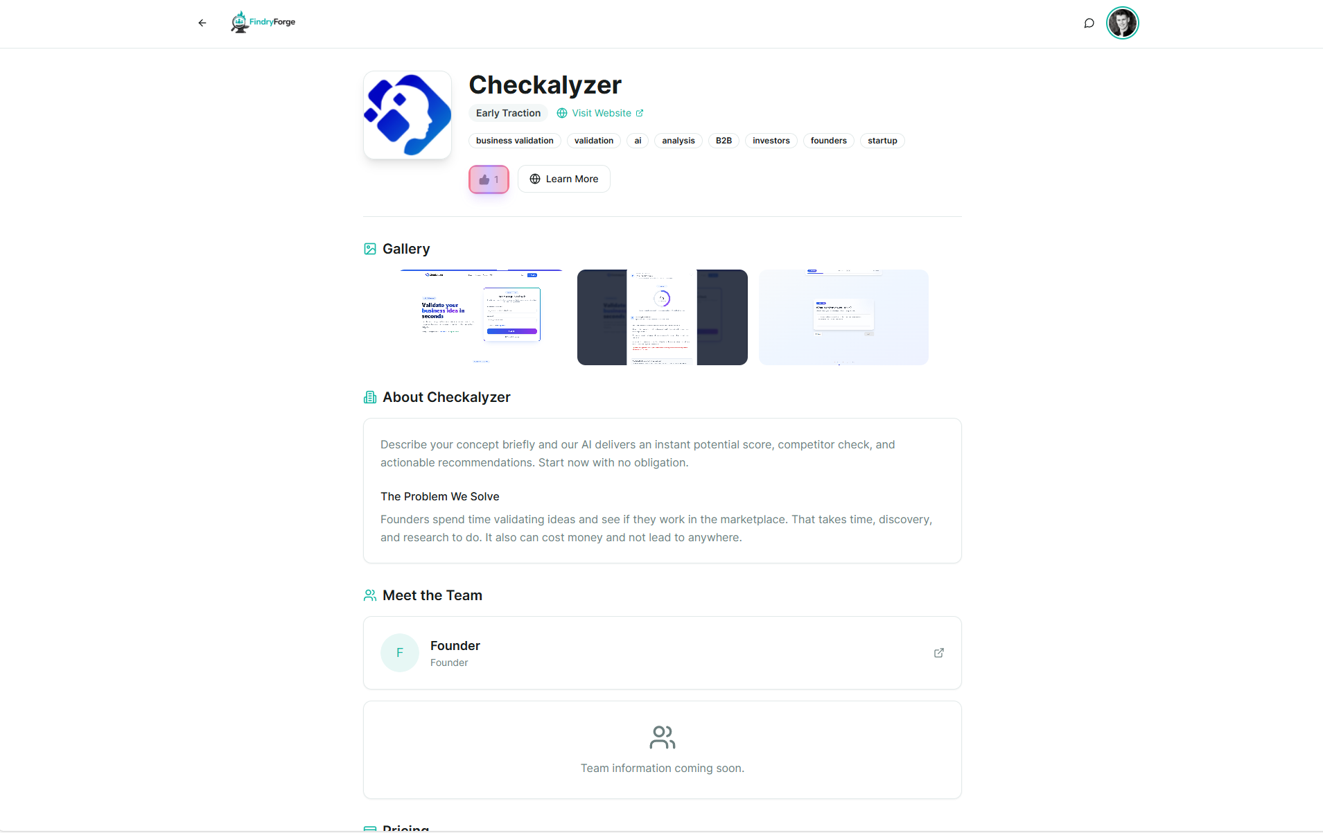 FindryForge screenshot 3