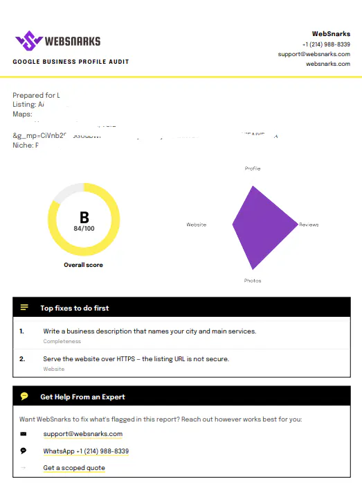 WebSnarks Google Business Profile Check gallery image