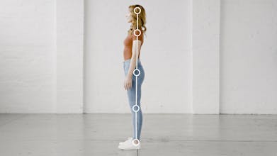 BodyGuide gallery image