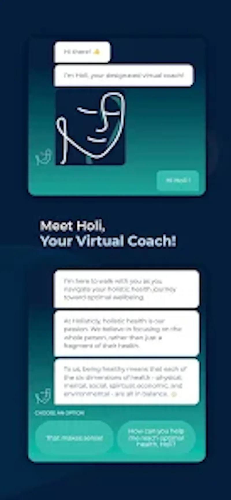 Holisticly screenshot 2