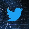 Twitter Timelines