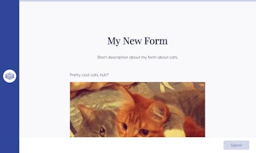 Forms.id gallery image