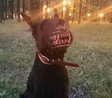 Werewolf Muzzle (OH WOOOO) gallery image