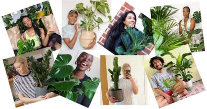 The Stem gallery image