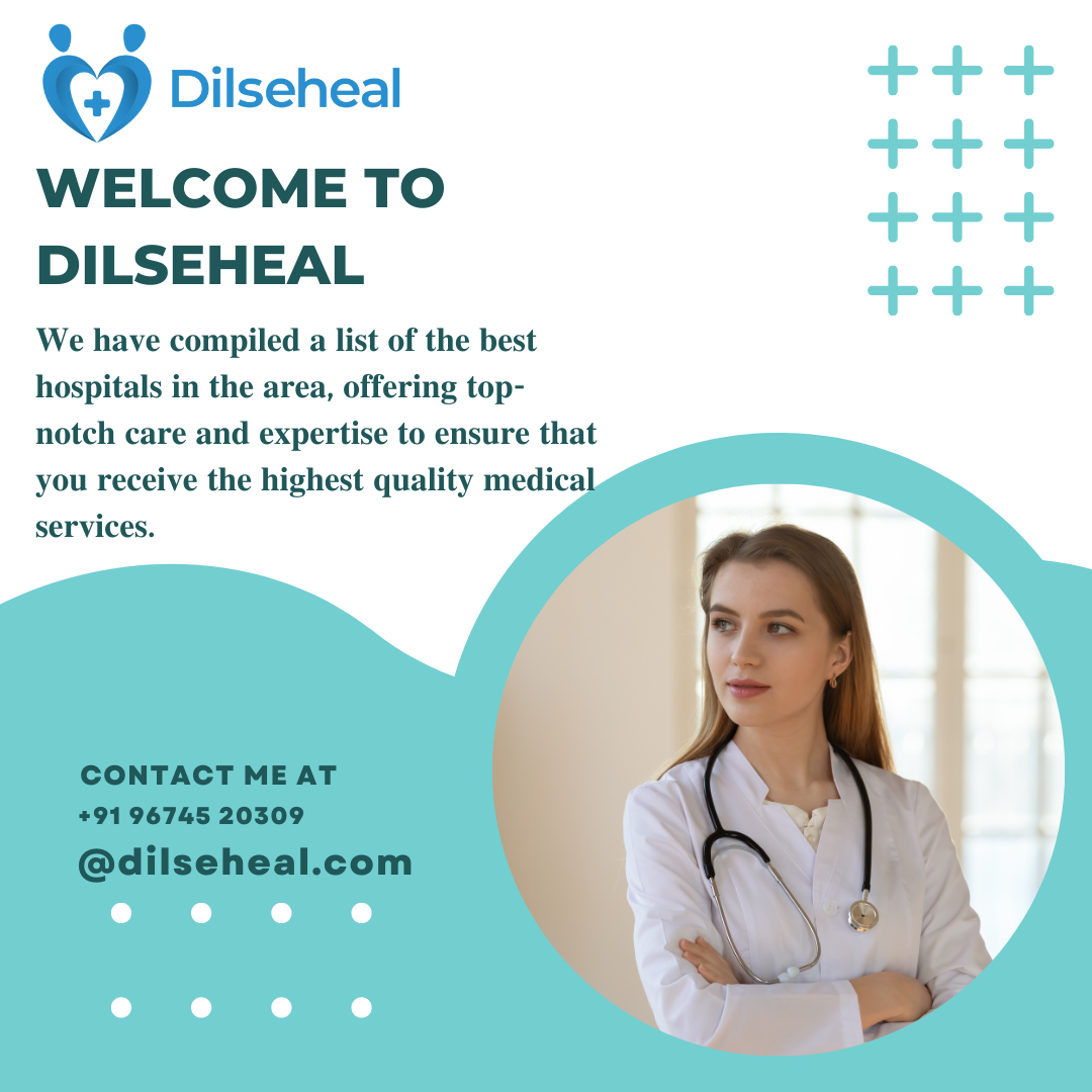 Dilseheal media 2