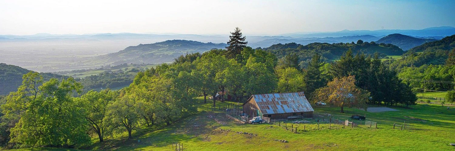 Rasmus Andersson cover