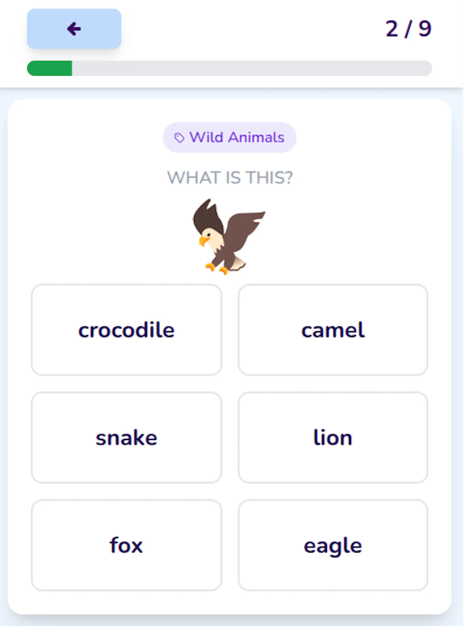 MyLingoAcademy screenshot 5
