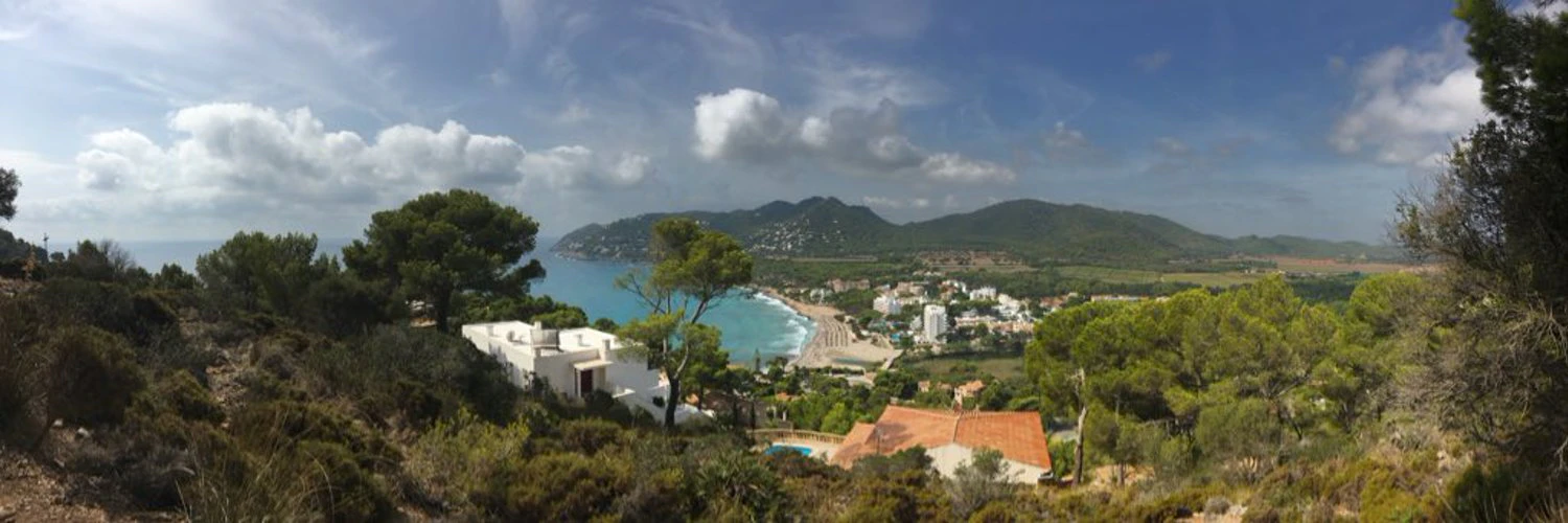 Mark Lubkowitz cover