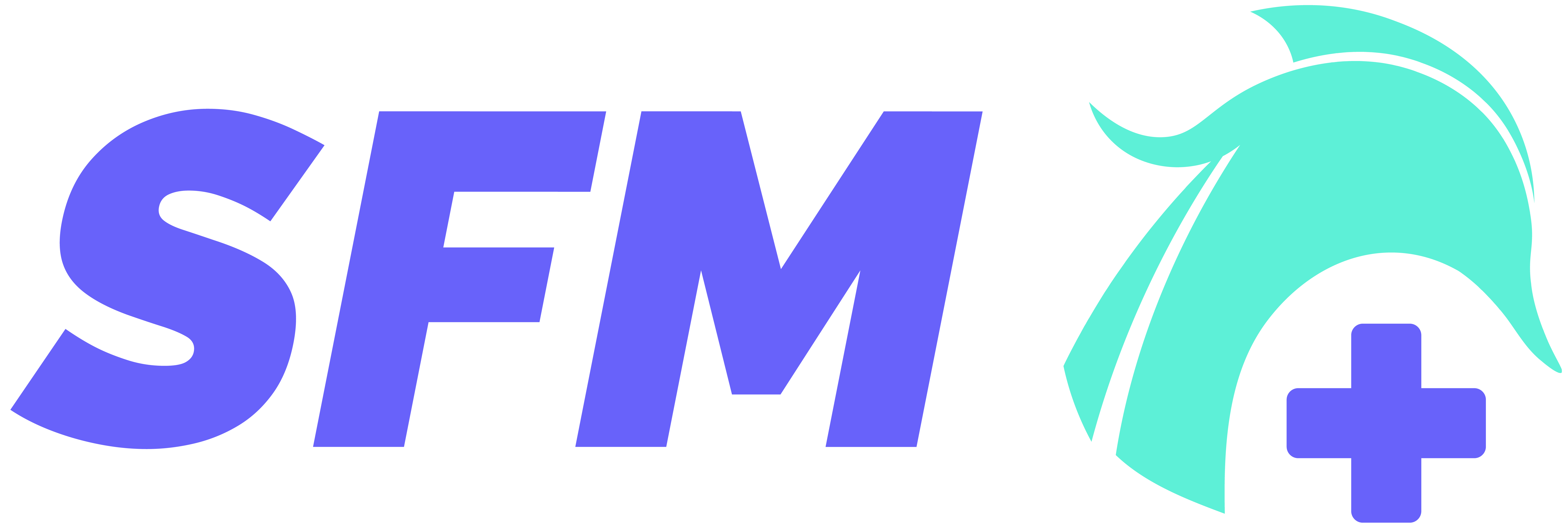 SafemedicalTravel Medien 2