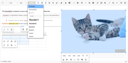 SunEditor gallery image