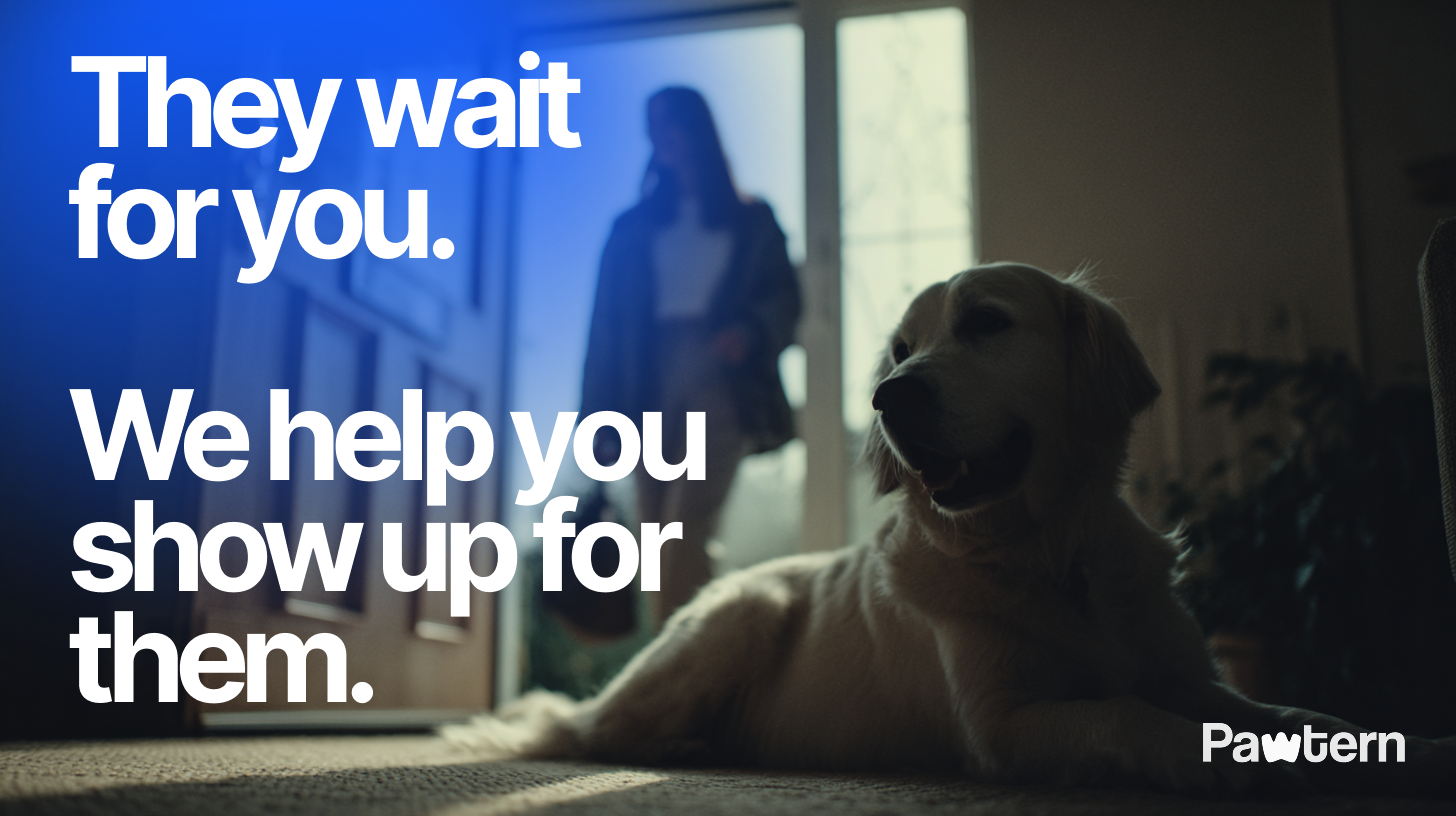 Pawtern gallery image