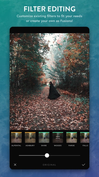 Afterlight 2 - Photo Editing Tool for IOS gallery image