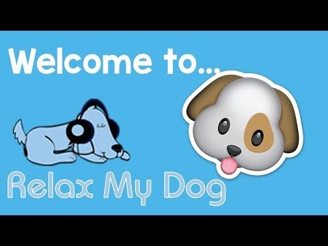 RelaxMyDog gallery image