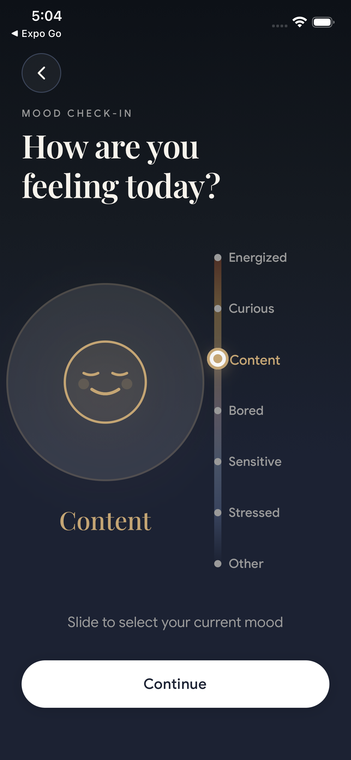 Cinnamon News - Main product screenshot demonstrating key features and user interface