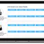 CFO Email Address Database