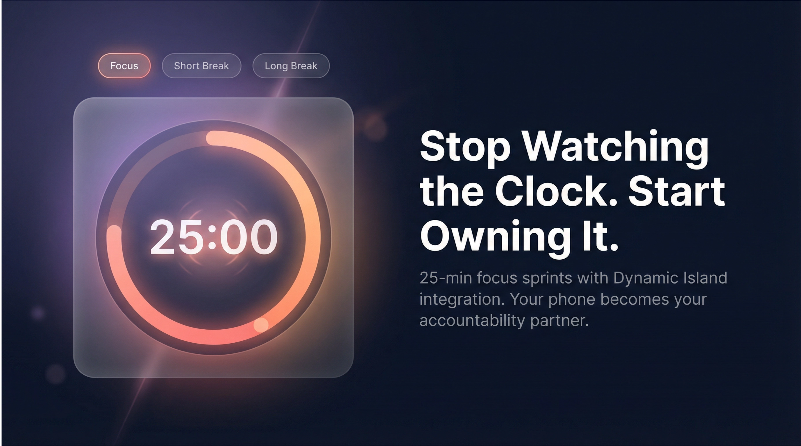 FocusGarden gallery image