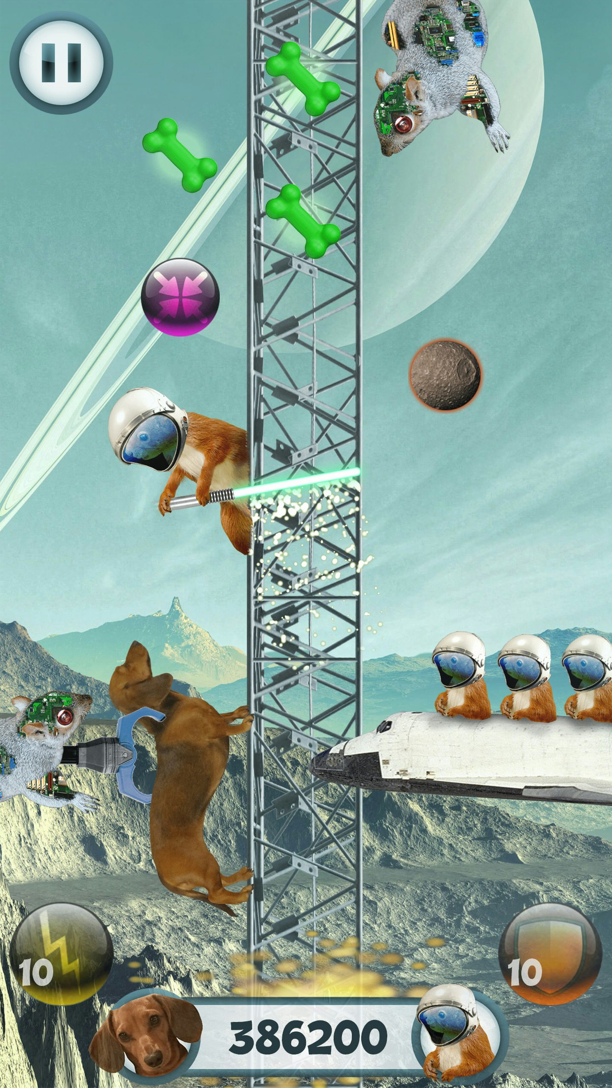 Wild Wiener! gallery image