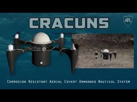 Cracuns