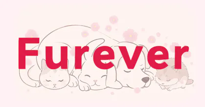 Furever gallery image